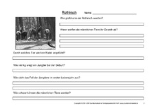 Rothirsch-Fragen-2.pdf